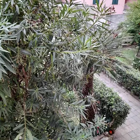 Cavi Borgo 3 Locali Con Parcheggio E Wifi, A Pochi Passi Dal Mare E Vicino A Sestri Levante Apartment Lavagna